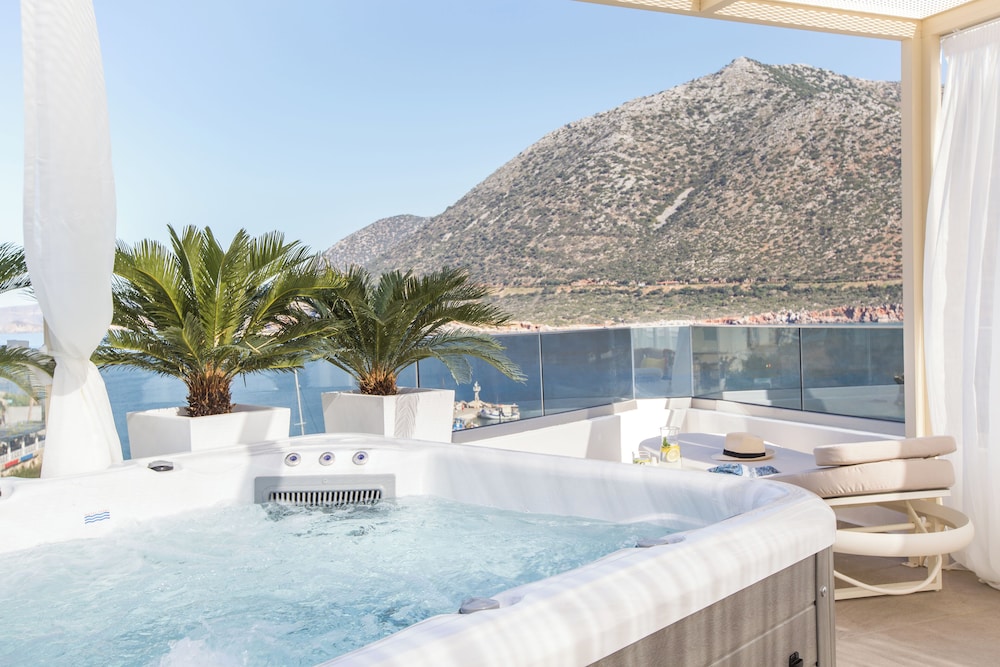 Premium Villa photo 2
