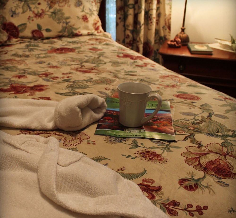 Silent Springs Suite photo 2