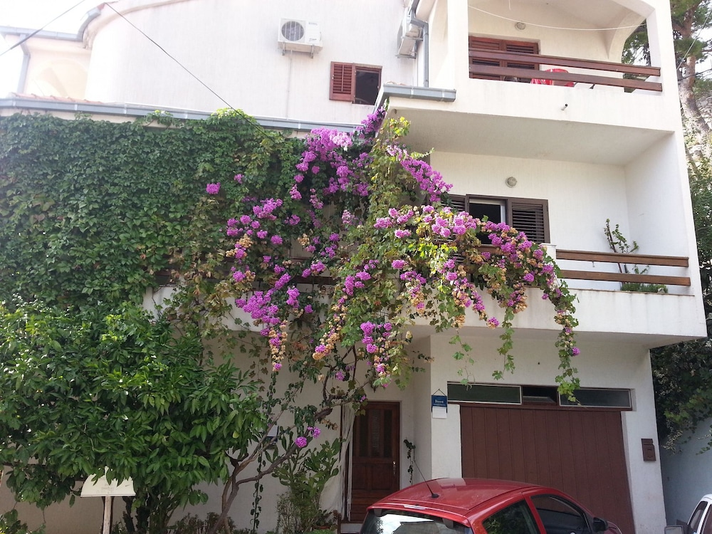Apartment (Zvone - 50 M from the sea - A4 prizem) photo 2