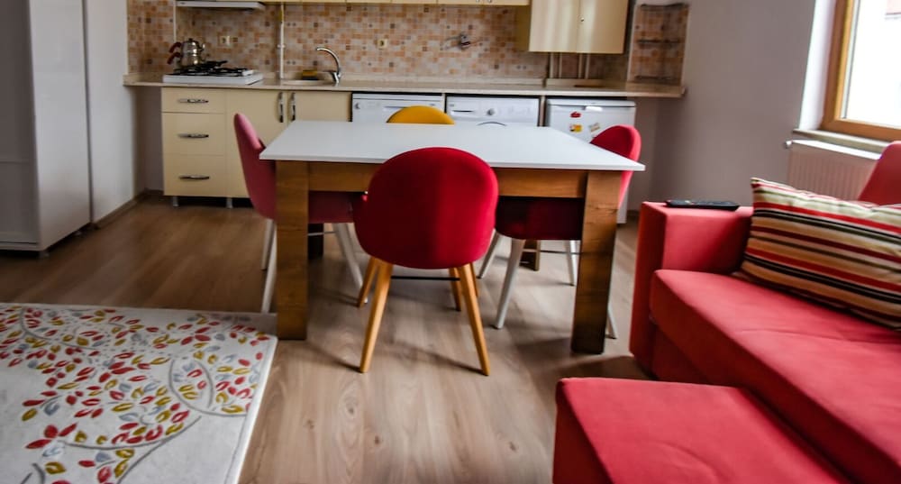 Family Apartment, 2 Bedrooms, Kitchen, City View photo 2