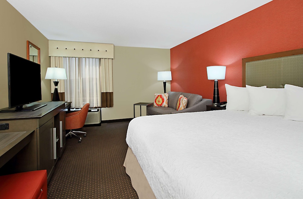 Room, 1 King Bed With Sofa Bed, Refrigerator photo 3