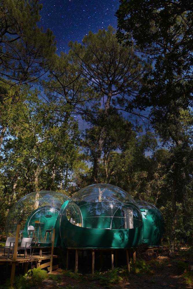 Tent, Ensuite (Bulles) - Photo 6