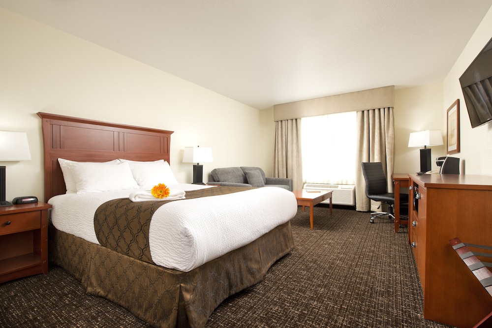 Room, Accessible (Wheelchair Accessible) photo 1