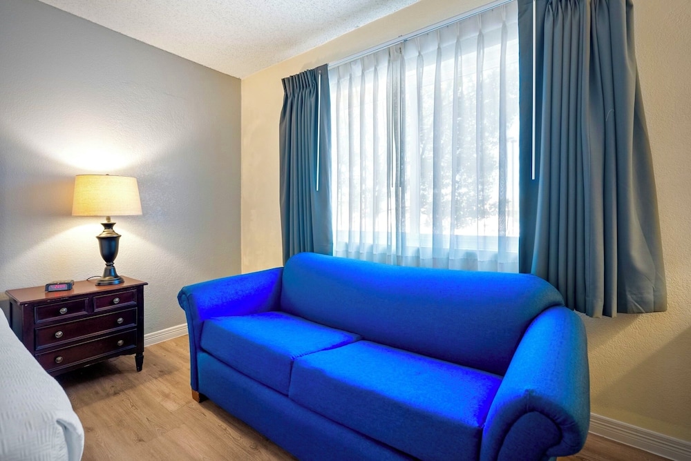 Standard Single Room photo 2