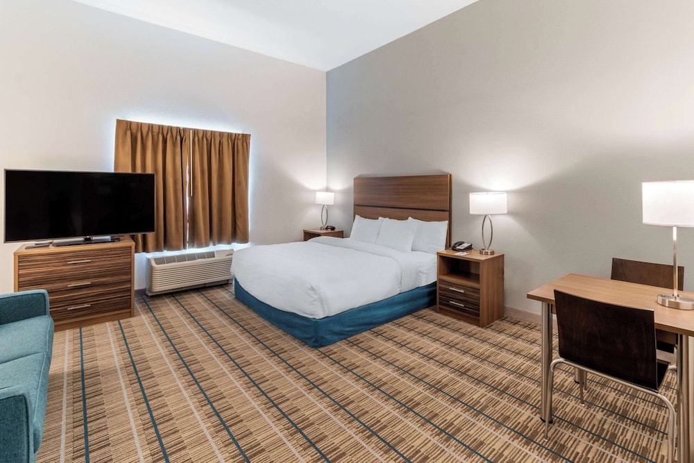 Suite, 1 King Bed with Sofa bed, Non Smoking (Efficiency) photo 3