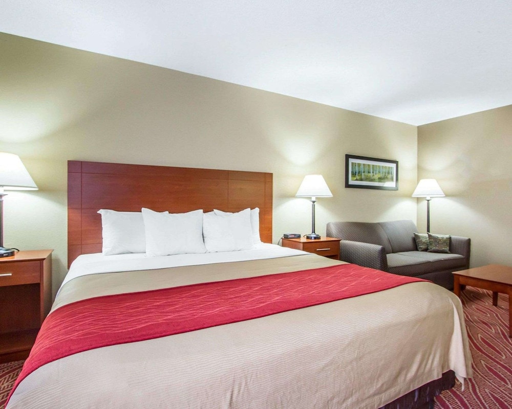 Standard Room, 1 King Bed, Non Smoking - Photo 4
