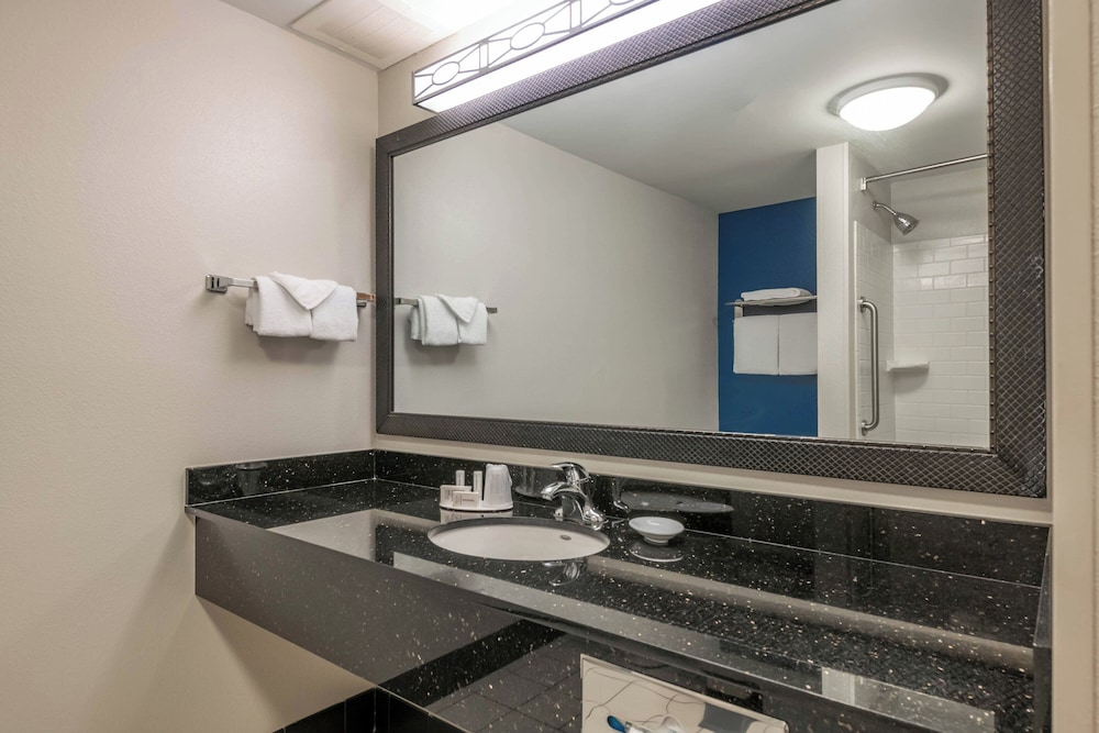 Suite, 1 Bedroom photo 2