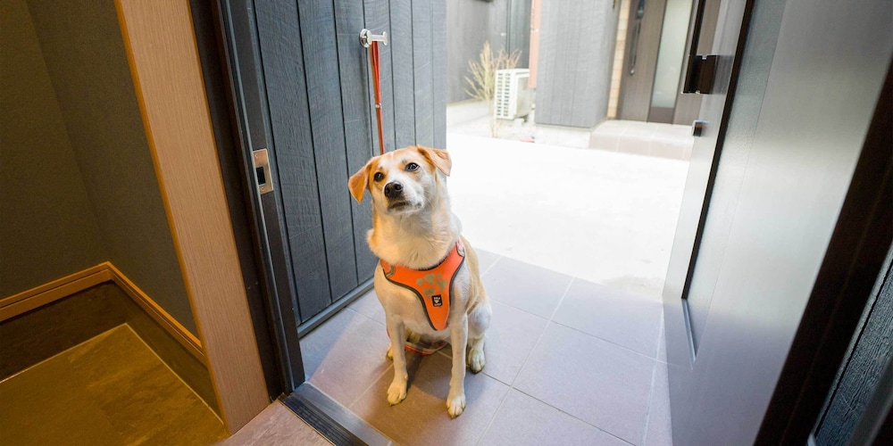 [Dog-friendly] VILLA, Non Smoking - Photo 11