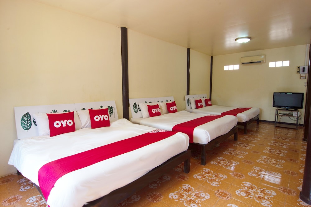 Shared Dormitory, Mixed Dorm