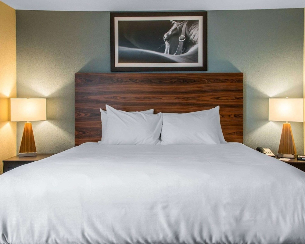 Suite, 1 King Bed with Sofa bed, Non Smoking