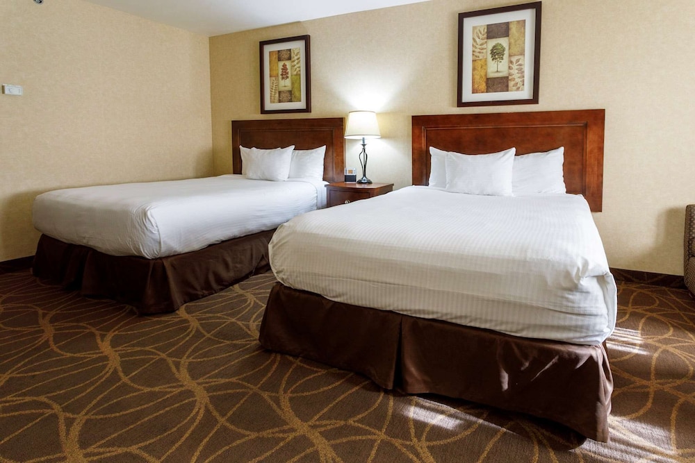 Room, 2 Queen Beds (Pet Friendly) photo 3