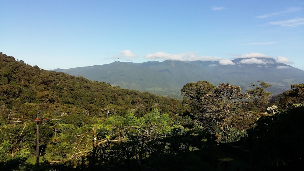 Standard Room, 2 Double Beds, Mountain View photo 3