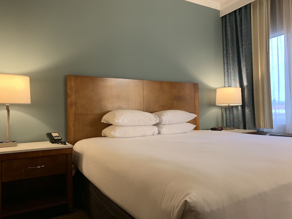 Suite, 1 King Bed, Non Smoking, Pool View - Photo 17
