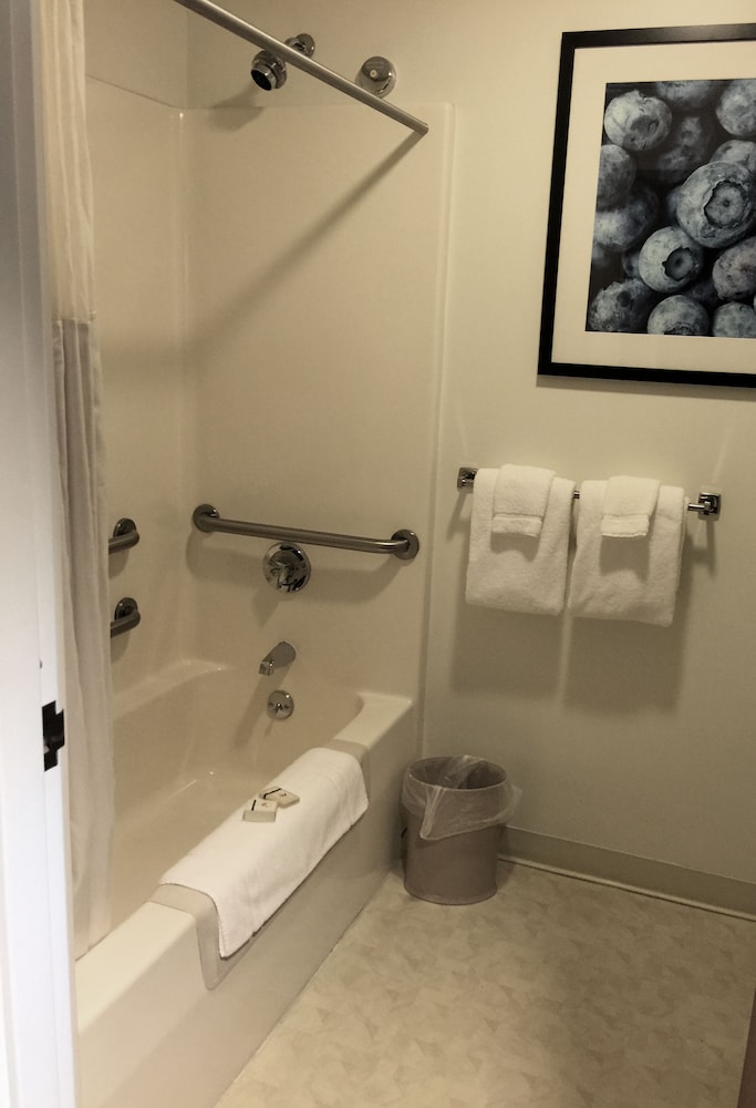 1 King Bed, 3rd Floor, No Pets photo 2