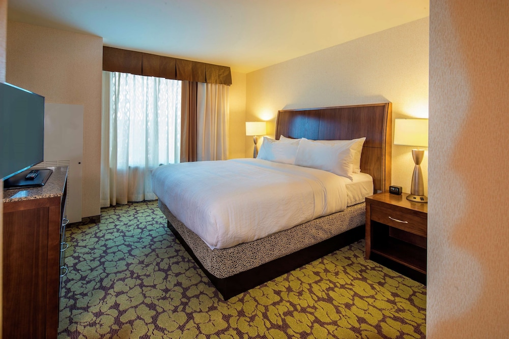 Room, 1 King Bed, Accessible, Non Smoking (Roll-in Shower)