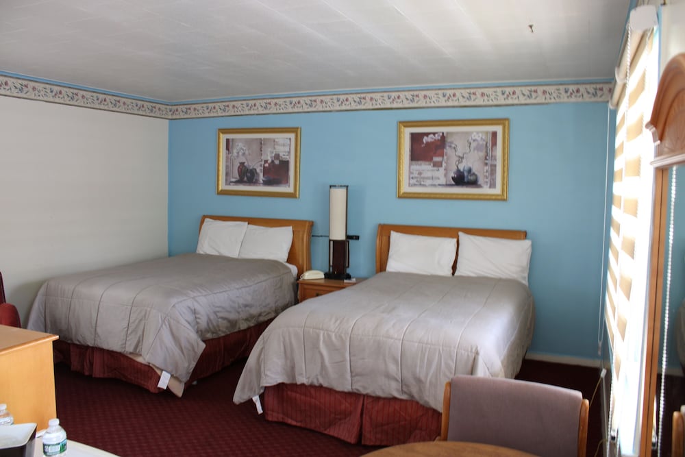 Comfort Double Room, 2 Double Beds photo 1