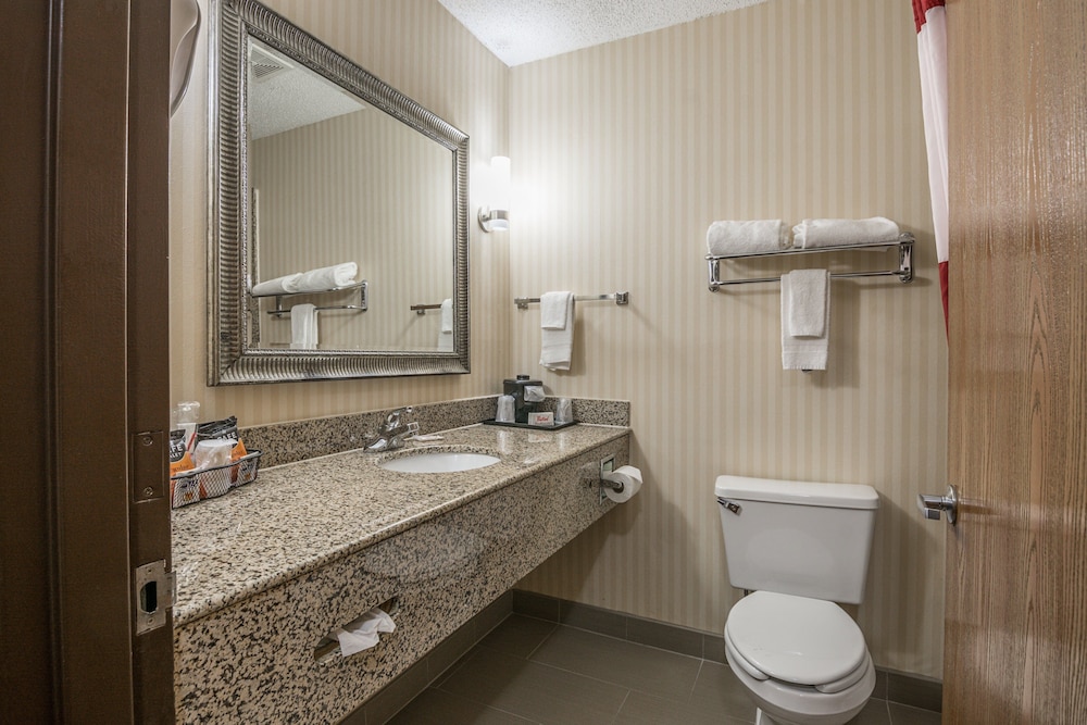 Superior Room, 1 King Bed, Non Smoking - Photo 10