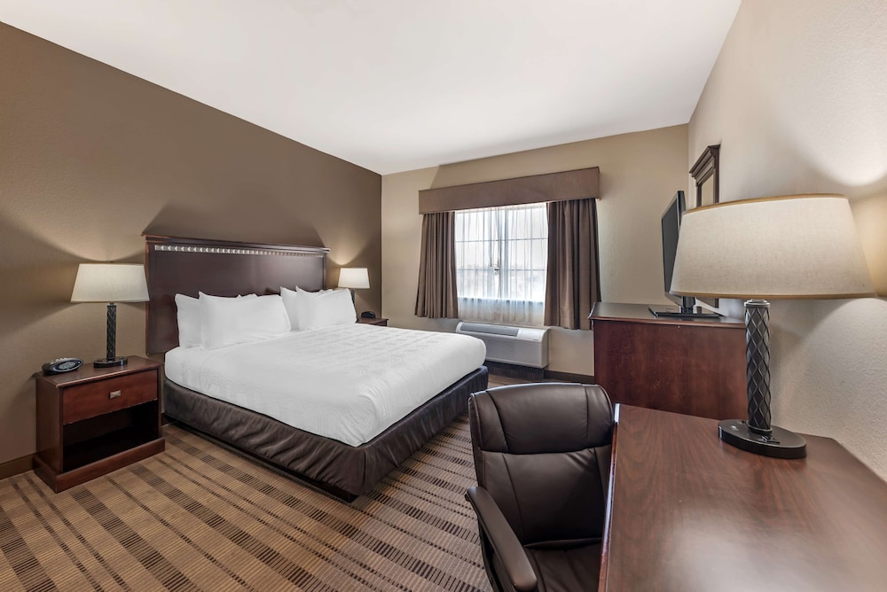 Standard Room, 1 King Bed, Accessible, Non Smoking photo 1