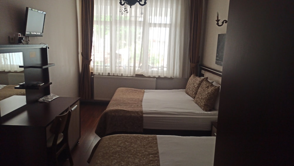 TRIPLE ROOM WITH MOUNTAIN VIEW photo 3