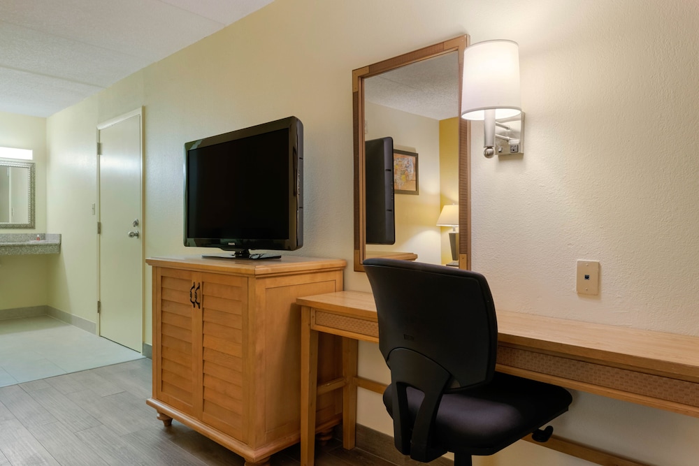 Room, 1 King Bed, Accessible, Non Smoking (Roll In Shower) - Photo 2