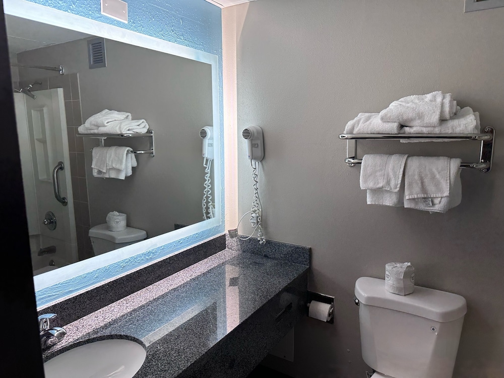 Room, 1 King Bed, Non Smoking, Poolside (Pet Friendly) - Photo 4