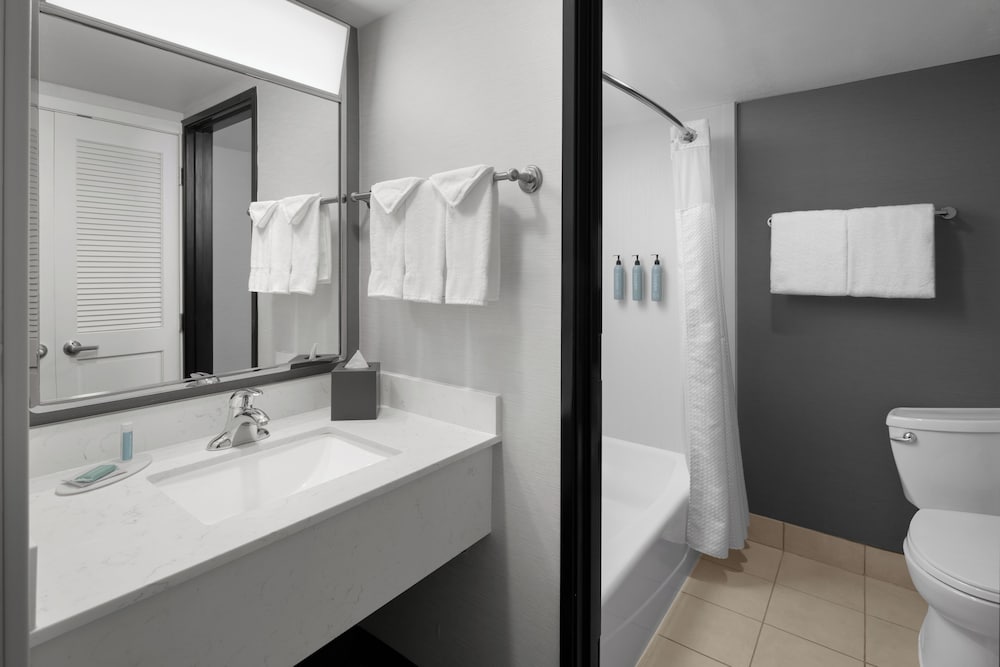 Suite, 1 Bedroom - Photo 5