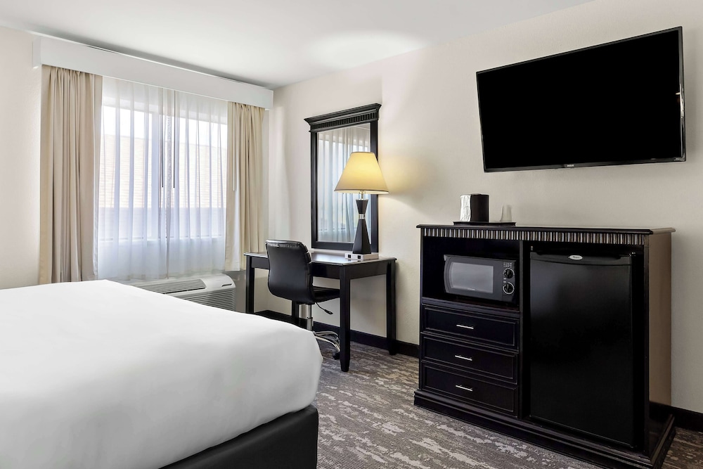 Standard Room, 1 King Bed, Non Smoking, Refrigerator & Microwave - Photo 3