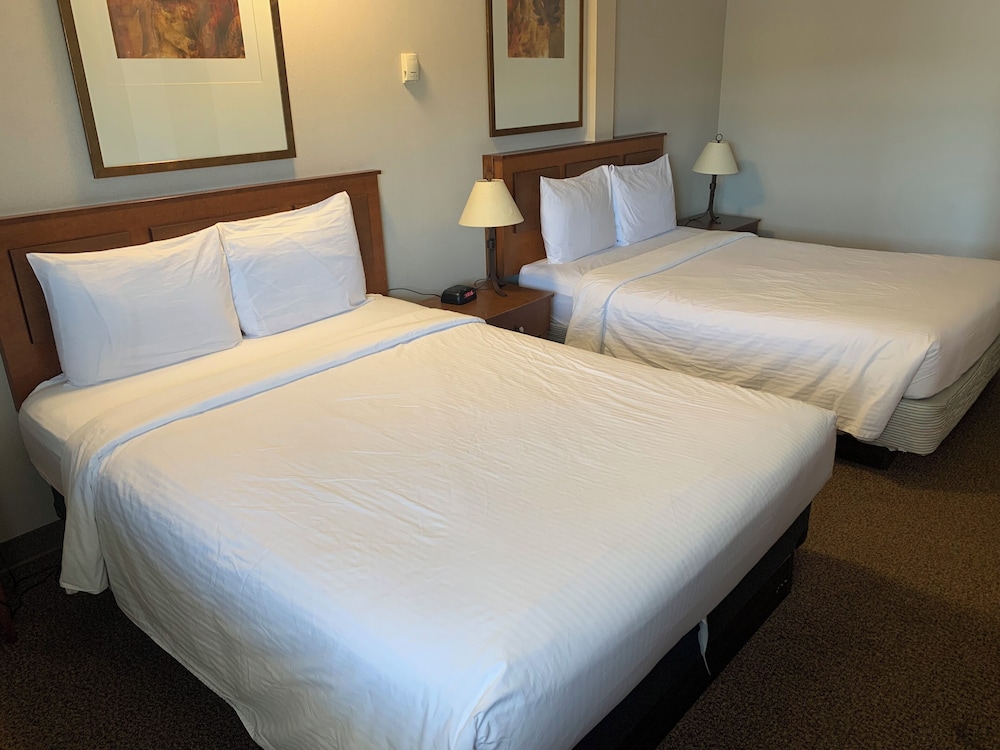 Junior Executive Suite photo 1