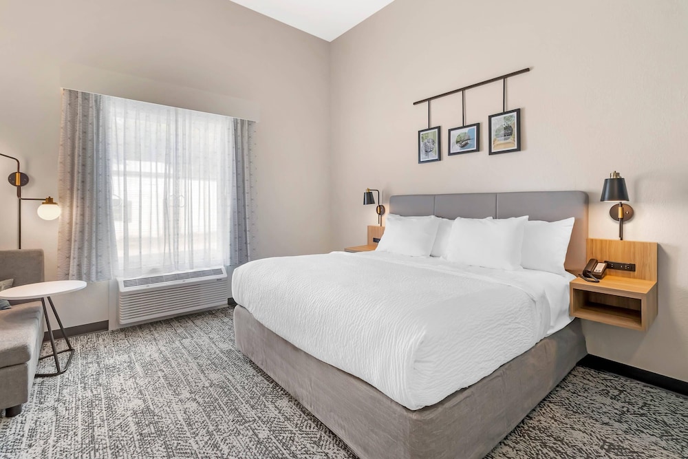 Room, 1 King Bed, Roll-in Shower, Non Smoking