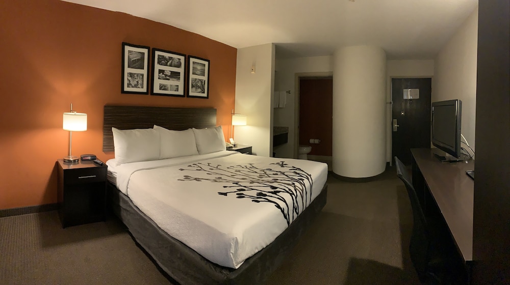 Business Room, 1 King Bed, Non Smoking - Photo 1