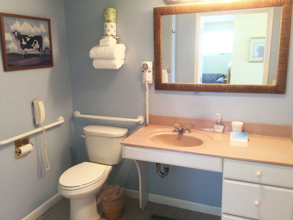 Deluxe Room  Kitchenette / Private Balcony 1 King Bed & 1 Sofabed photo 2