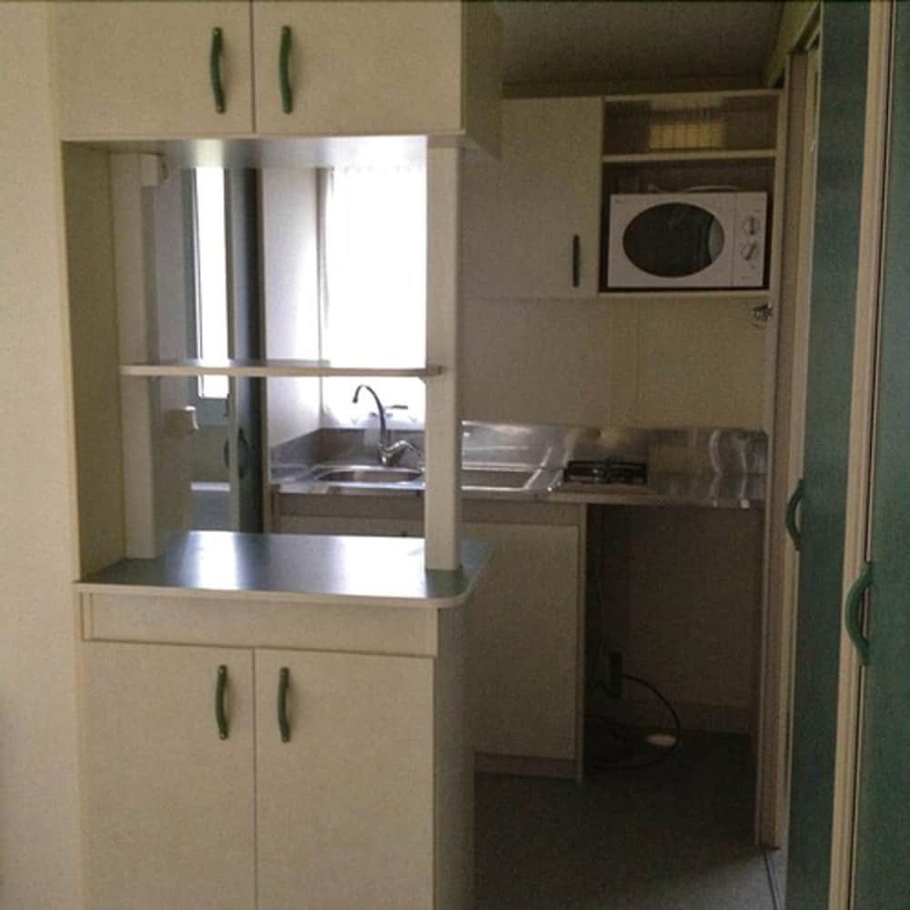 Mobile Home photo 3