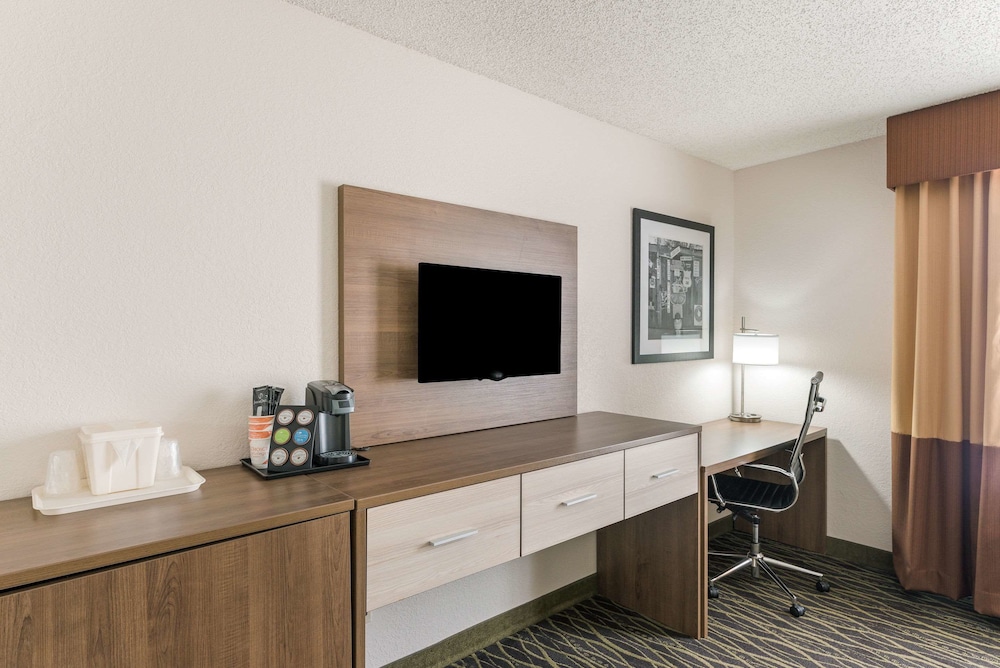 Standard Single Room, 1 King Bed photo 2