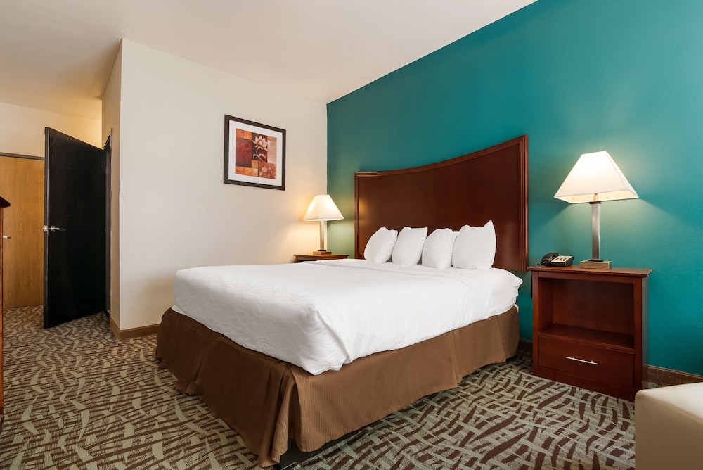 Standard Room, 1 King Bed, Non Smoking, Refrigerator & Microwave (Small Room) - Photo 4
