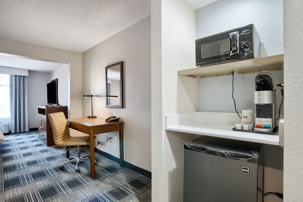 Suite, 1 King Bed - Photo 3