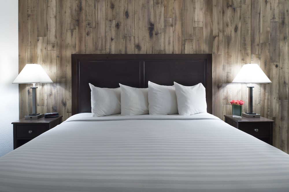 King with Jetted tub and Queen Sofa Bed