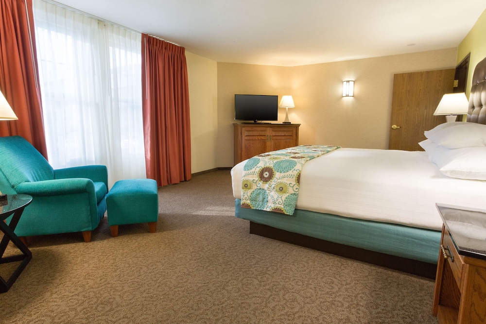 Suite, 1 Bedroom photo 3