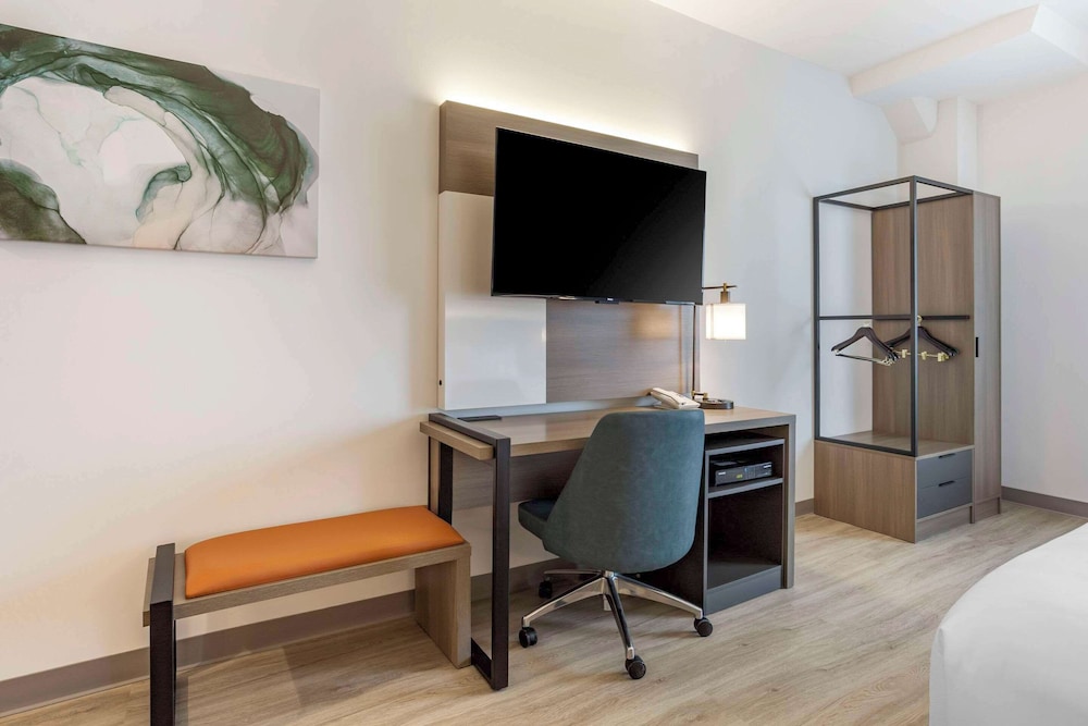 Studio Suite, 1 King Bed with Sofa Bed Accessible, Non Smoking photo 2