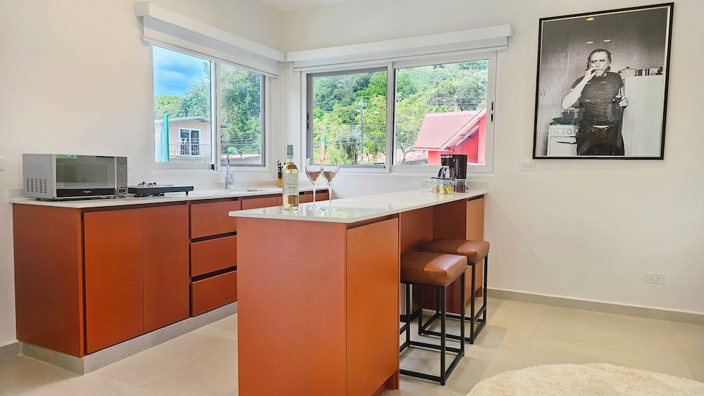 Panoramic Suite, Mountain View photo 3