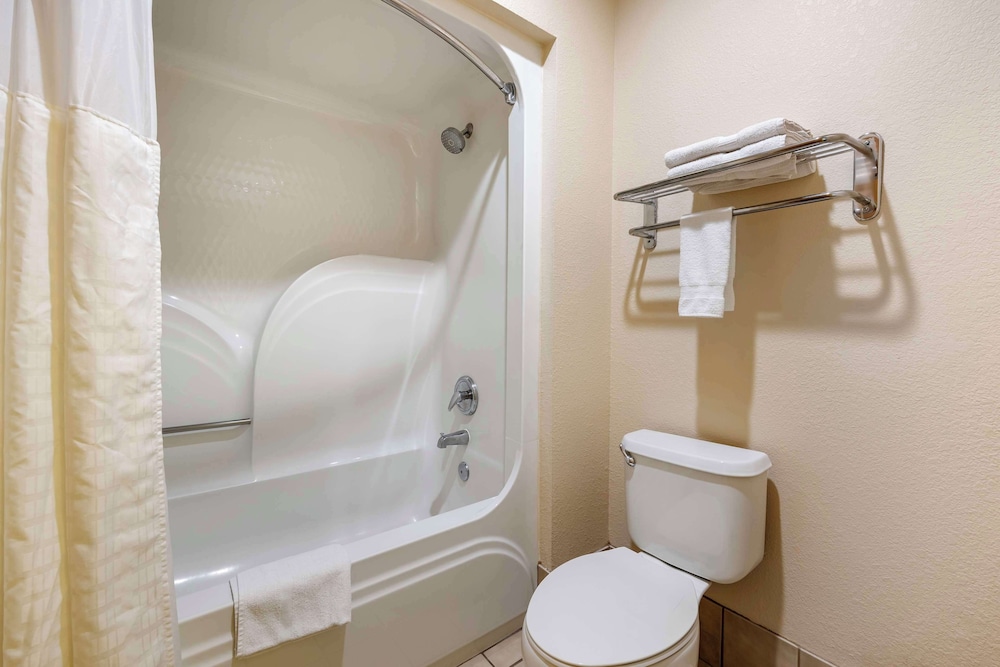 Executive Room, 1 King Bed, Non Smoking, Refrigerator & Microwave - Photo 4