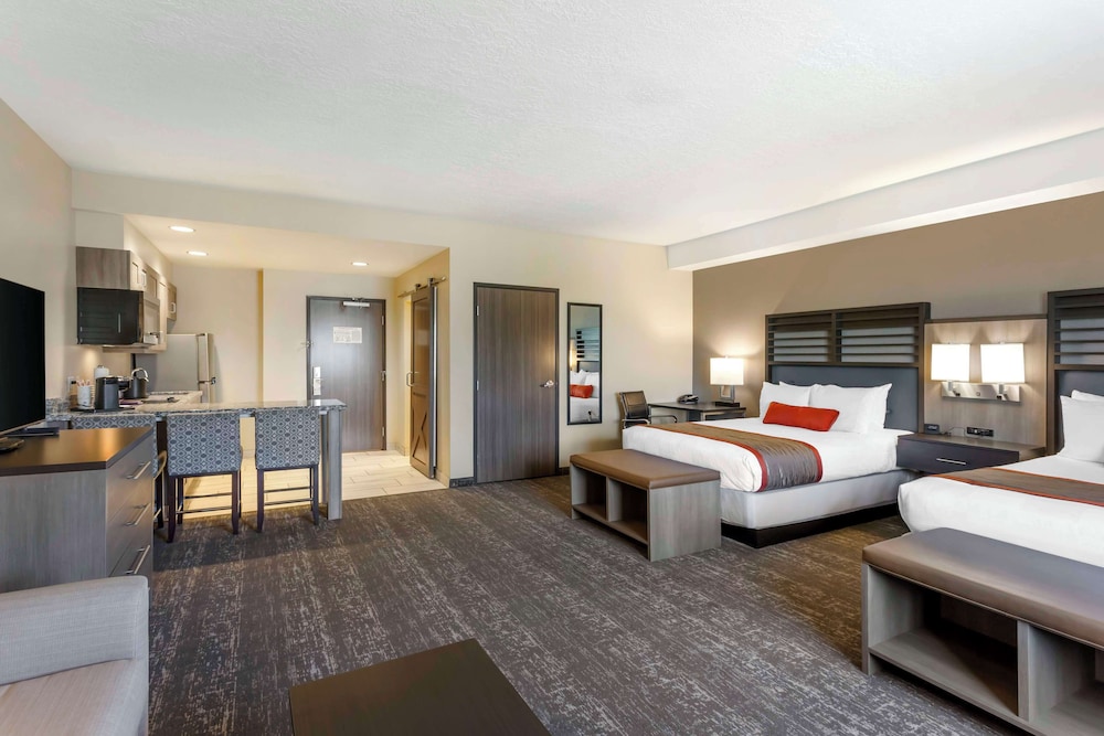 Standard Room, Multiple Beds, Non Smoking, Kitchenette (with Sofabed) photo 2