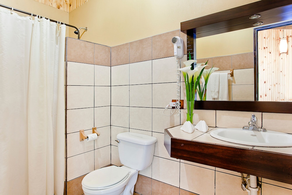 Standard Double Room - Photo 5