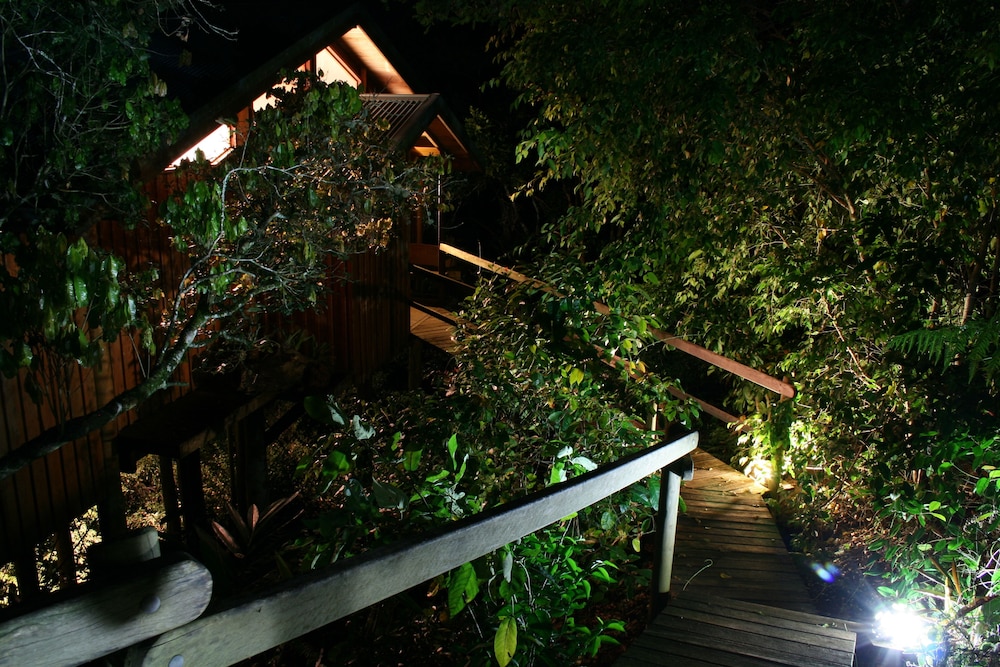 2 Nights Canopy Tree House photo 3
