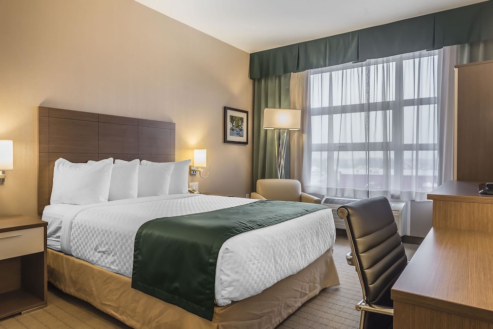 Standard Room, 1 Queen Bed, Accessible photo 1