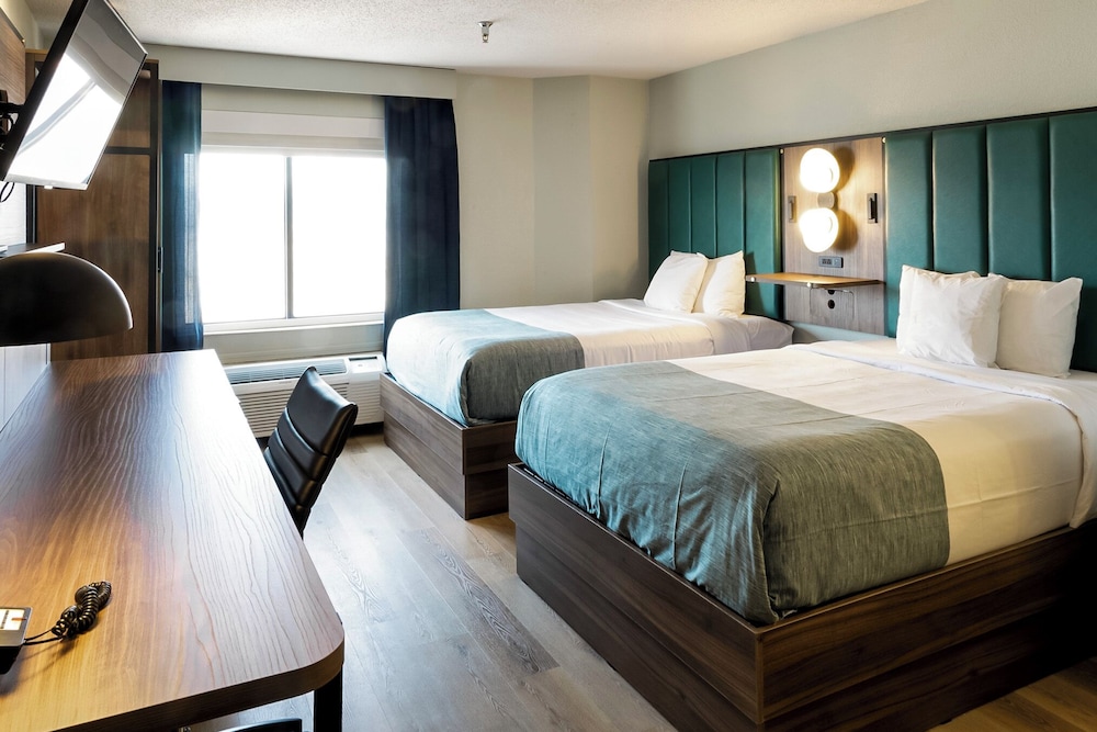 Room, 1 King Bed, Non Smoking - Photo 11