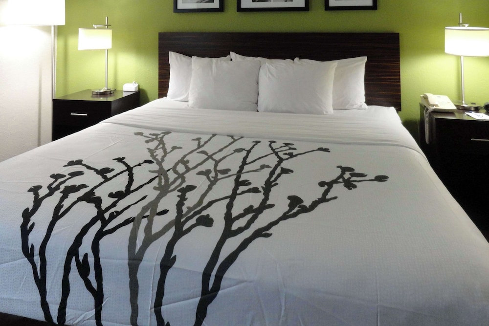 Standard Room, 1 King Bed, Non Smoking - Photo 1