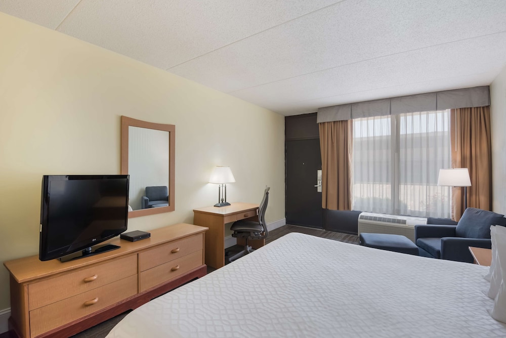Standard Room, 1 King Bed, Non Smoking, Refrigerator & Microwave - Photo 6