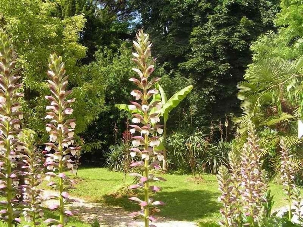 Domaine de Puytirel, Billede 2