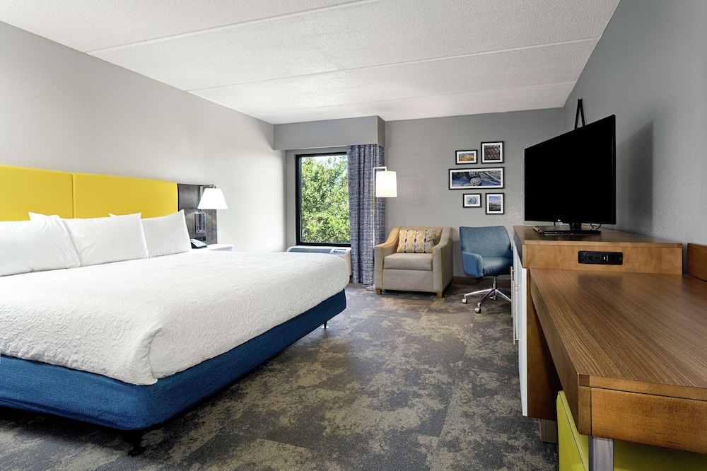 Room, 1 King Bed, Accessible (With Roll In Shower and Chair) - Photo 1