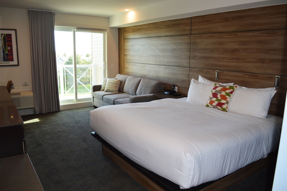 Standard Room, 1 King Bed with Sofa bed -Pet Friendly($) - Photo 1